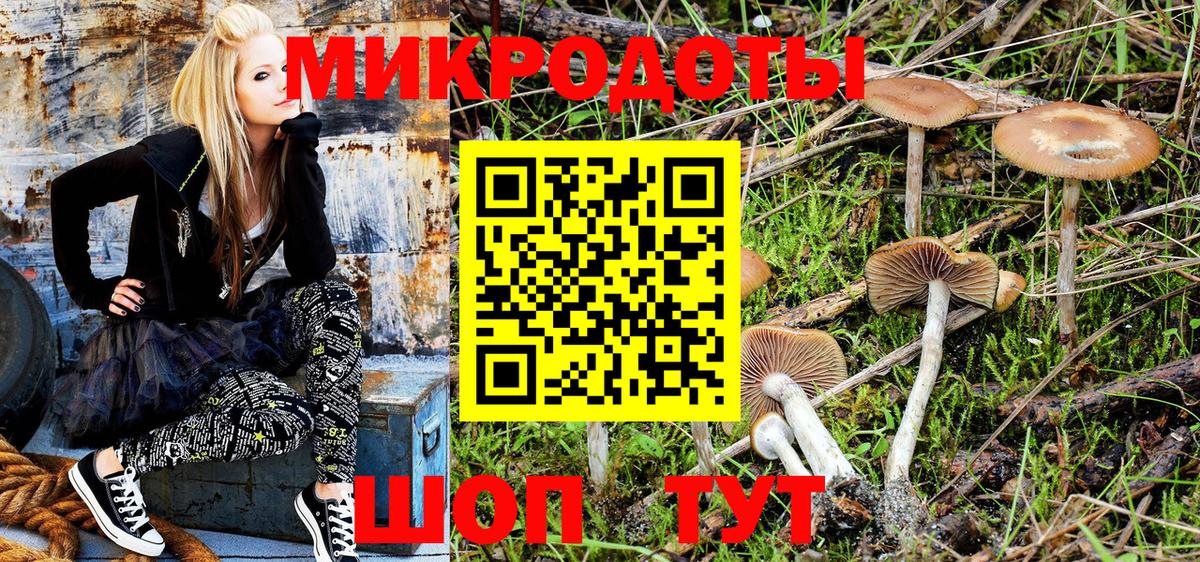 Псилоцибиновые грибы GOLDEN TEACHER Моршанск